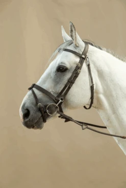 Dy'on Working Collection Flat Flash Bridle With Snap Hooks