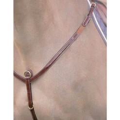 Equestrian Supplies Store -Equestrian Supplies Store 087754b30e250646d9ce59c37c6de28c8ec510f5