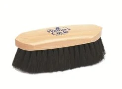 Winner's Circle 3/4 Size Wooden Backed Brushes - VARIOUS