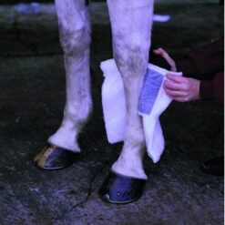 Animalintex Poultice Pad