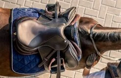 Winderen Comfort Jump Half Pad - 18mm -Equestrian Supplies Store 387b