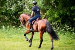 Winderen Comfort Jump Half Pad - 18mm -Equestrian Supplies Store 4122b