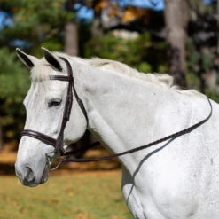 Equinavia Valkyrie Wide Noseband Hunter Bridle With Reins