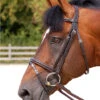 Dy'on Working Collection Flash Noseband Bridle