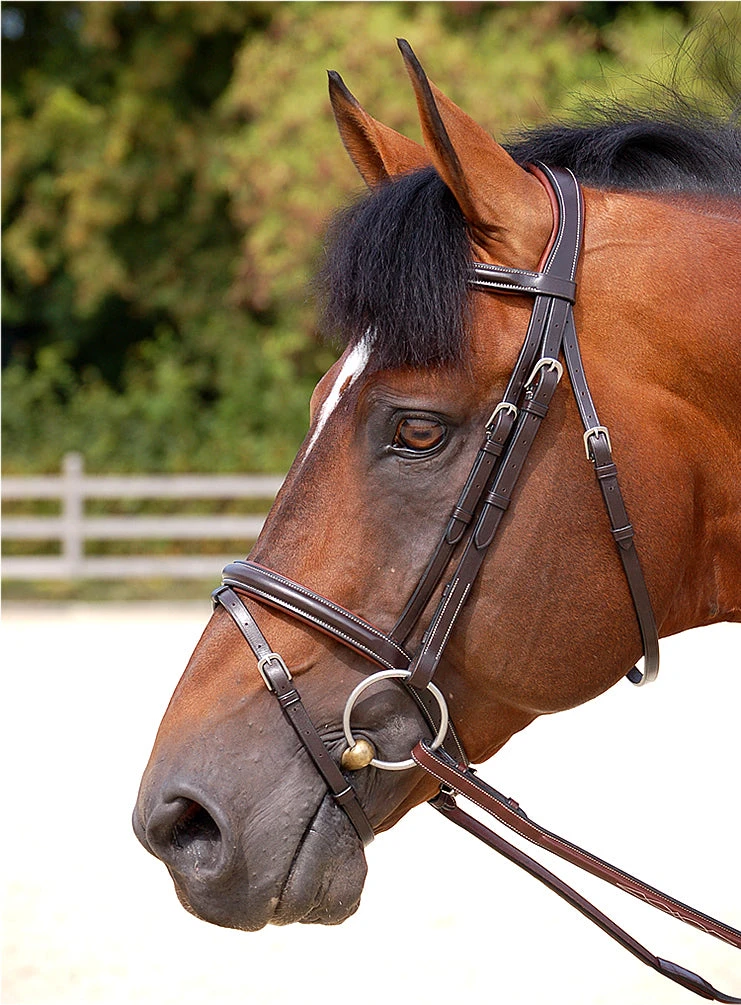 Dy'on Working Collection Flash Noseband Bridle 1 Dy'on Working Collection Flash Noseband Bridle