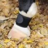 Professional Choice VenTech Pastern Wrap