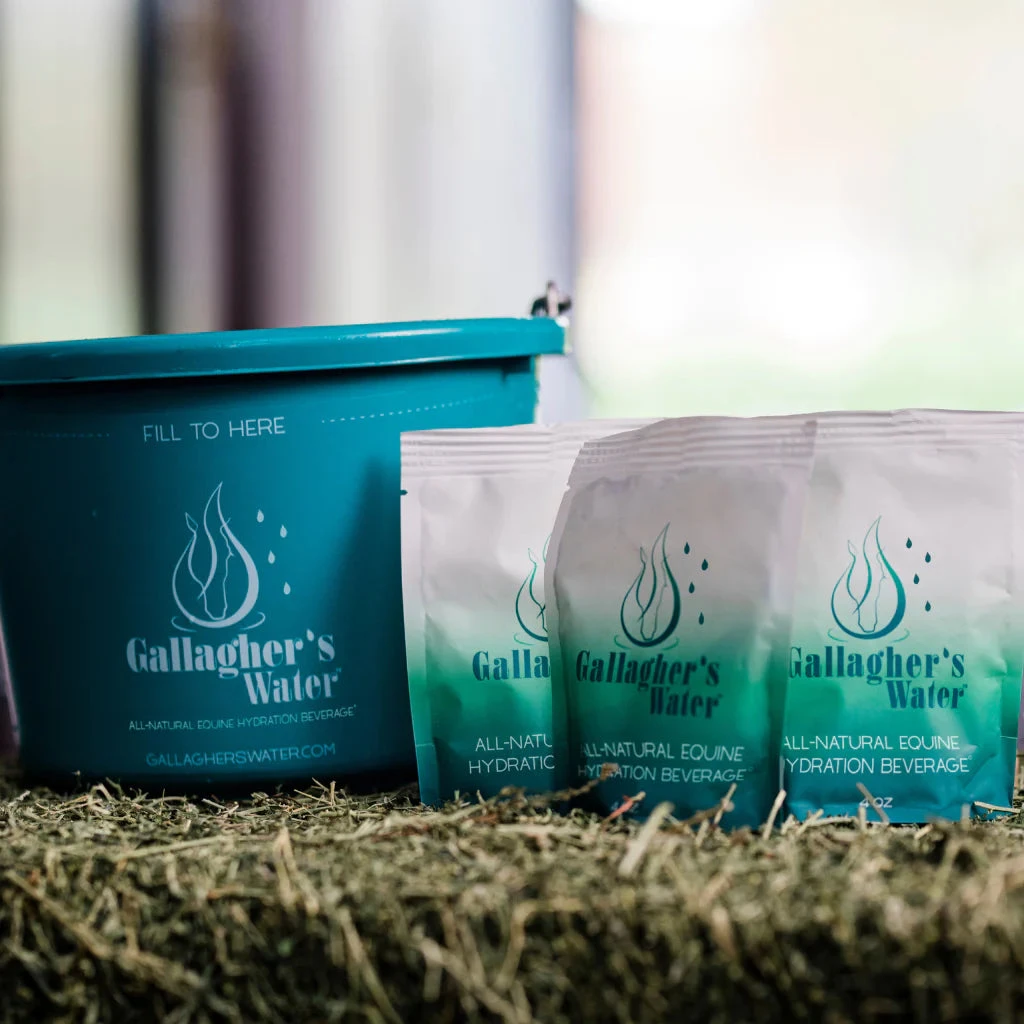 Gallagher's Water Hydration Beverage - 12 Pack 1 Gallagher's Water Hydration Beverage - 12 Pack