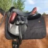 Anatomeq Perfeq Dressage Pad - Various Colours