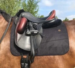 Anatomeq Perfeq Dressage Pad - Various Colours