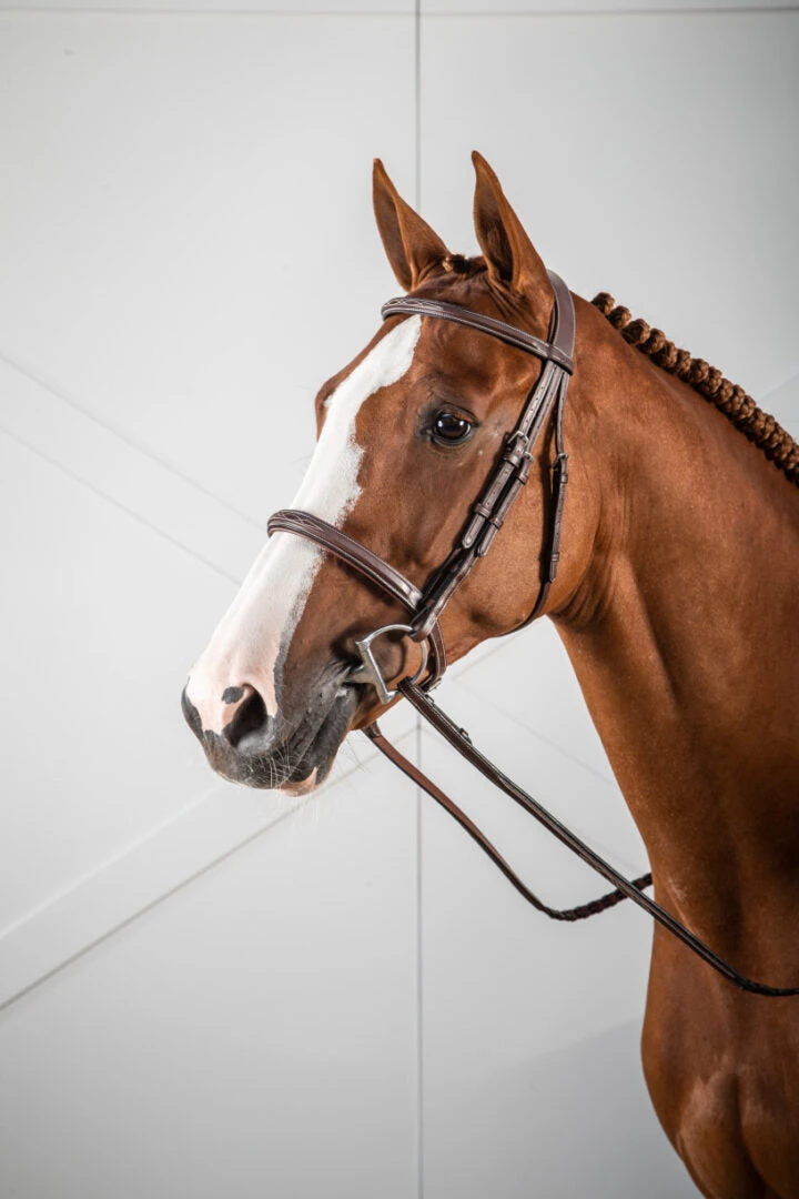 Dy'on US Hunter Collection Cavesson Noseband Bridle 2 Dy'on US Hunter Collection Cavesson Noseband Bridle - Image 2