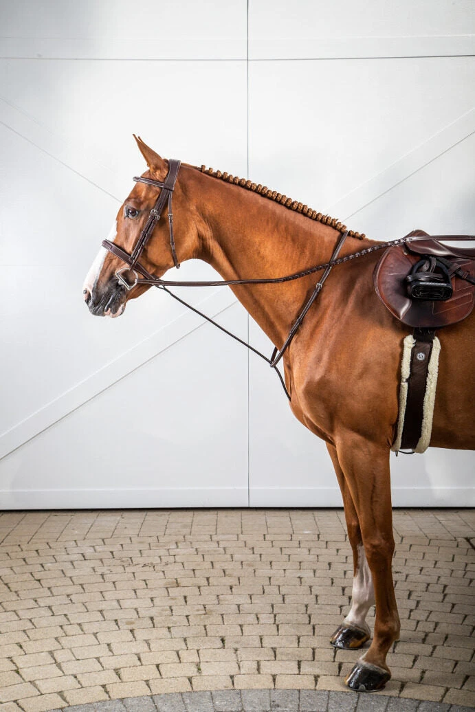 Dy'on US Hunter Collection Cavesson Noseband Bridle 1 Dy'on US Hunter Collection Cavesson Noseband Bridle