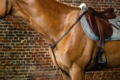 Equestrian Supplies Store 8 Dy'on D Collection Fancy Breastplate