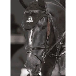Dy'on Focus Cheek Pieces Blinkers - 2 Colours -Equestrian Supplies Store d4566e05a82d45ead13b1a63f55b6e7b443ca71b