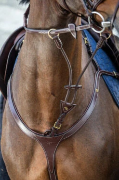 Dy'on D Collection Elastic Running Martingale Attachment