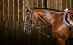 Dy'on Working Collection Gogue Nylon Ropes