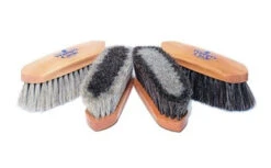 Winner's Circle Full Size Wooden Backed Brushes - VARIOUS