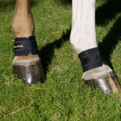 Back On Track Pastern Wraps