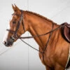 Dy'on US Hunter Collection Standing Martingale