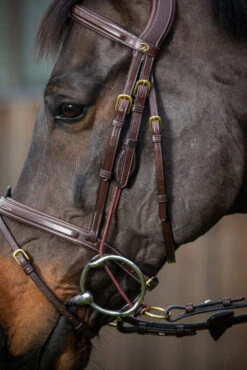 Dy'on D Collection Gag Cheek Pieces