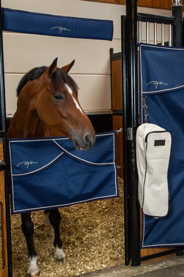 Dy'on Canvas Bridle Bag 2 Dy'on Canvas Bridle Bag - Image 2