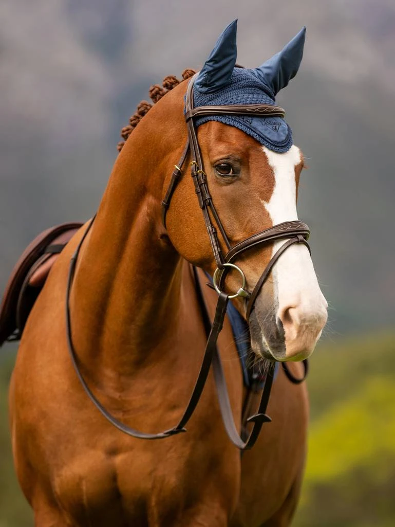 LeMieux Classic Fly Hood - ATLANTIC 2 LeMieux Classic Fly Hood - ATLANTIC - Image 2