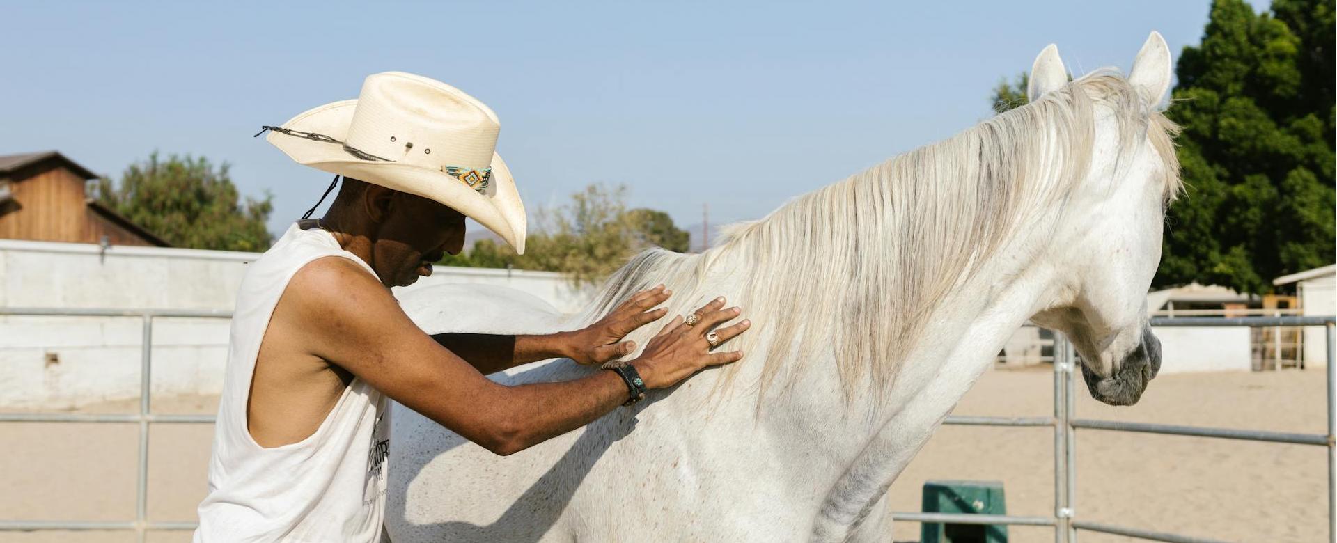 Equestrian Supplies Store 15 Equestrian Supplies Store -Equestrian Supplies Store pexels rdne 8625657